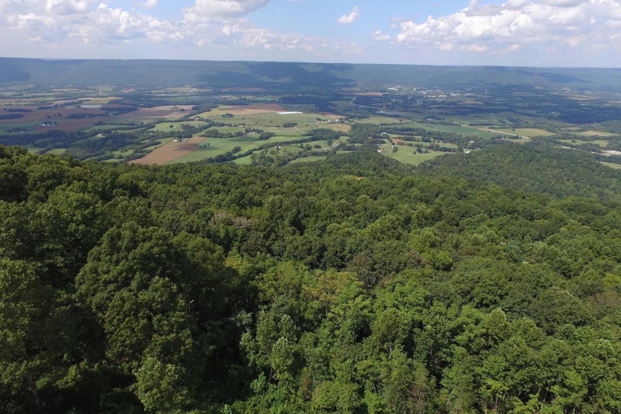 Rigsby Gap Rd - Photo 1