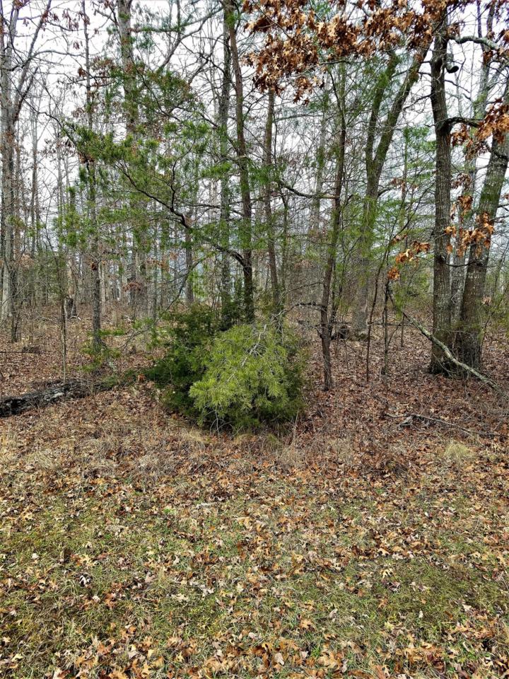 151 Jasper Drive - Photo 1