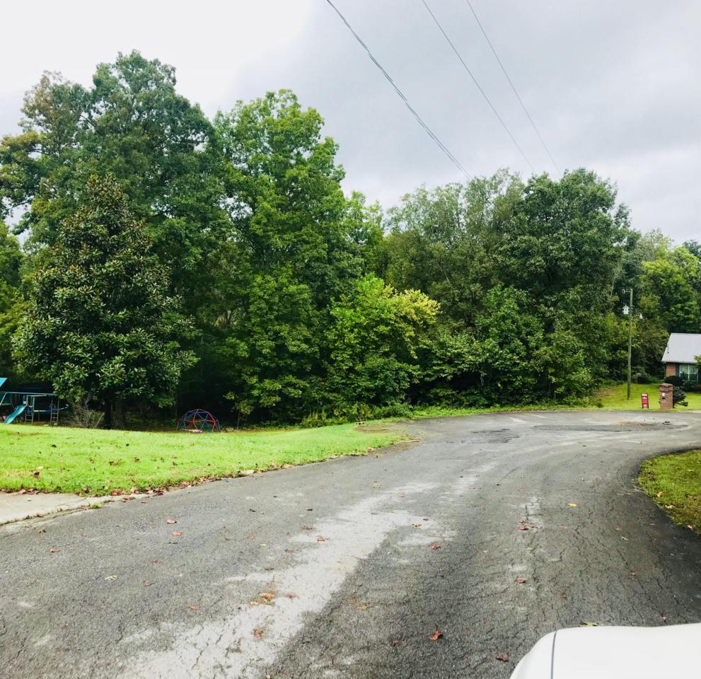 Donielle Drive - Photo 1