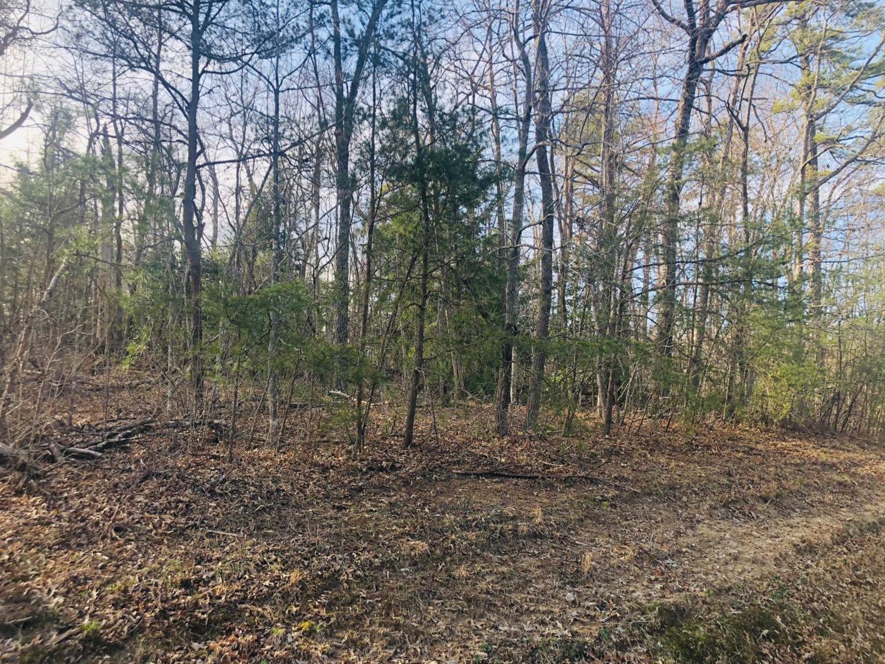 Laurel Loop - Photo 1
