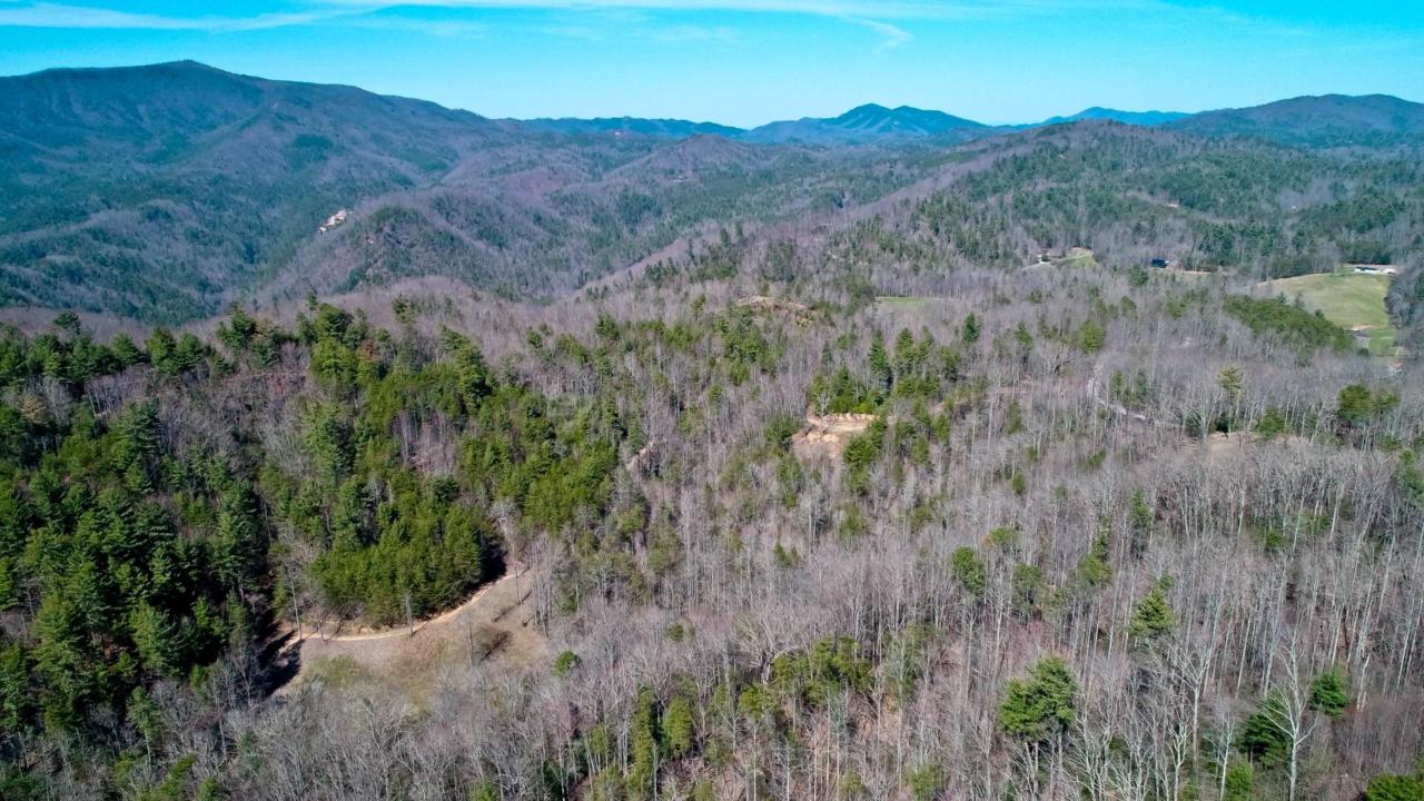 17 Acres Dogwood Stand Rd - Photo 1