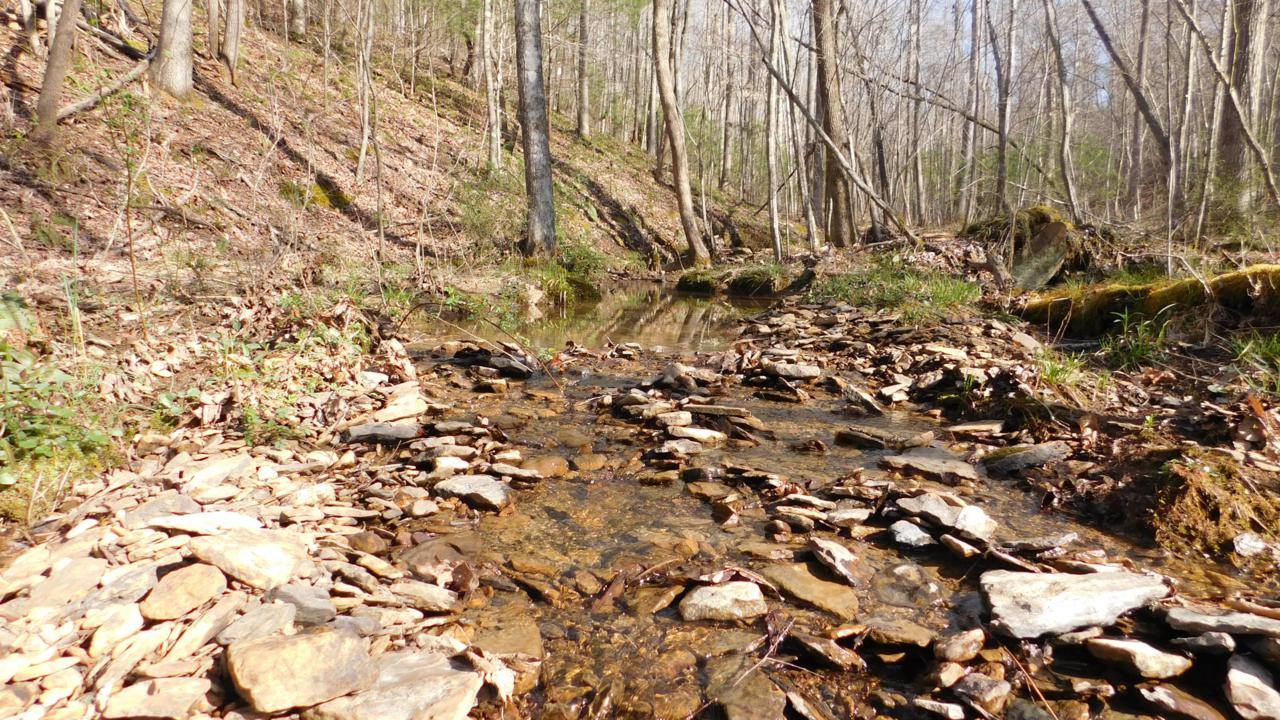 White Oak Rd - Photo 1