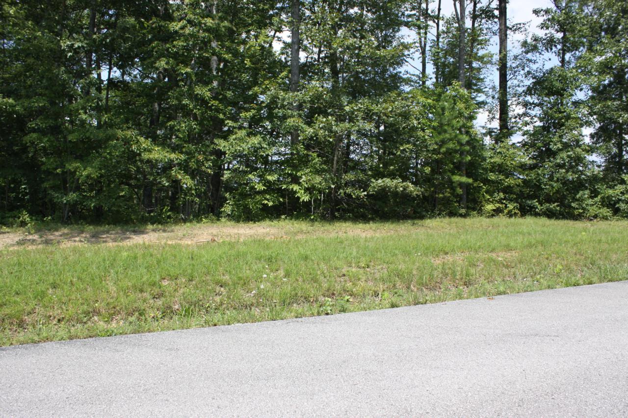 Ridgetop Drive - Photo 1