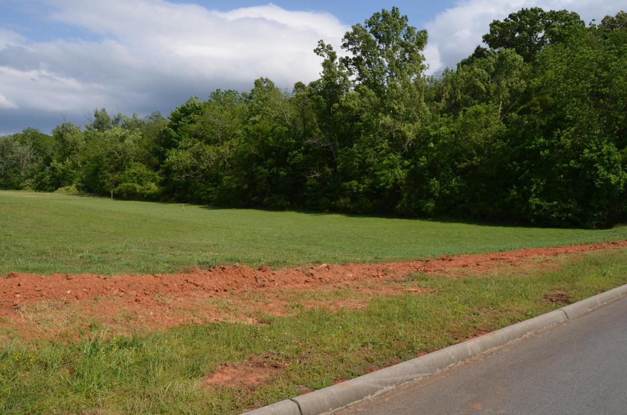 429 Highland Springs Drive - Photo 1