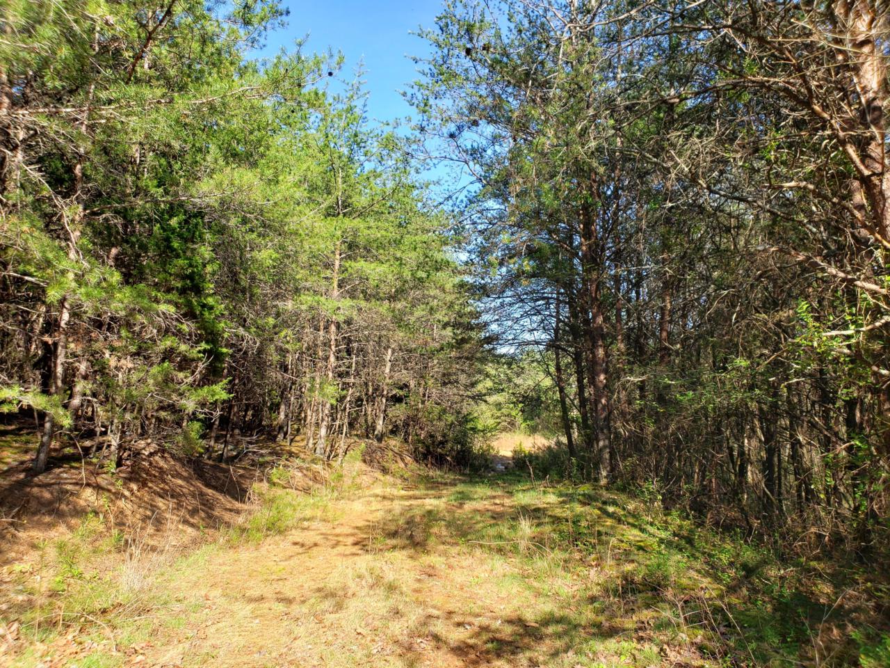 Par 79 French Mill Rd - Photo 1
