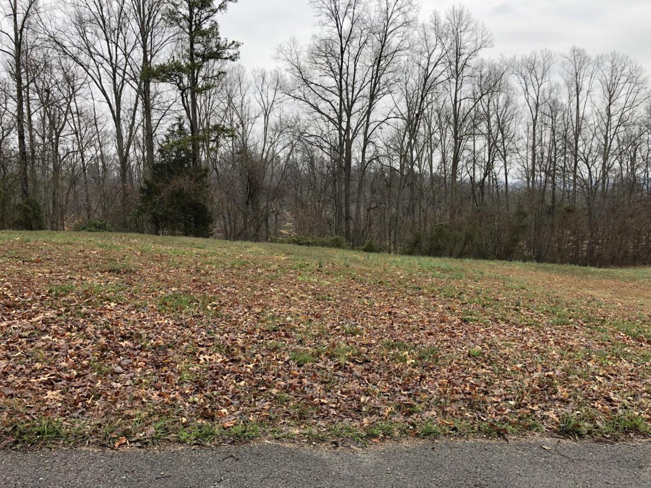 Lot 18 Galilee Lane - Photo 1