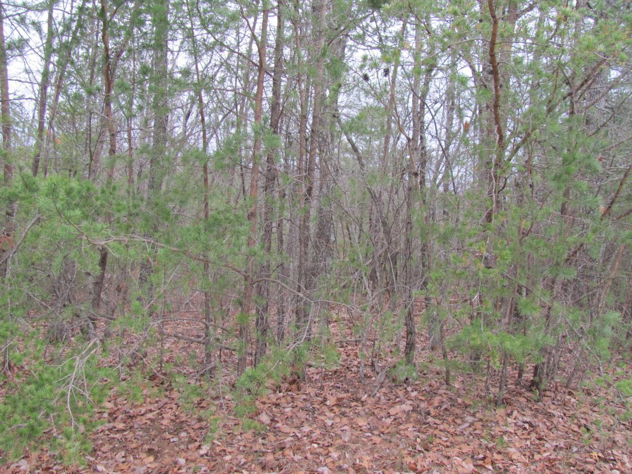 Bent Oak Lane - Photo 1