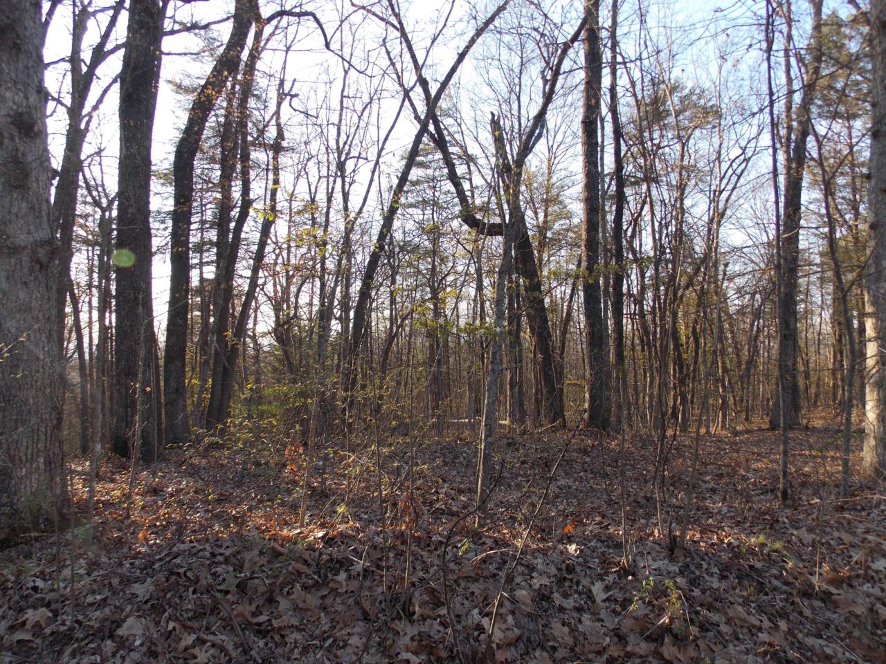 Lot 44 Tower Rd - Photo 1