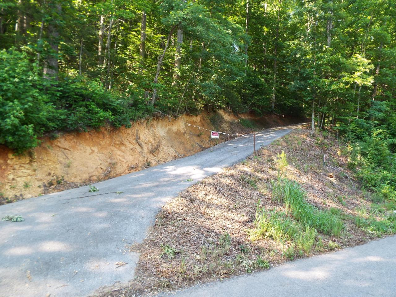Greasy Cove Road - Photo 1