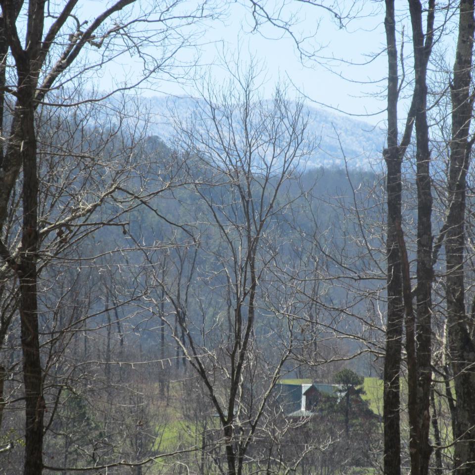 Greasy Cove Road - Photo 1