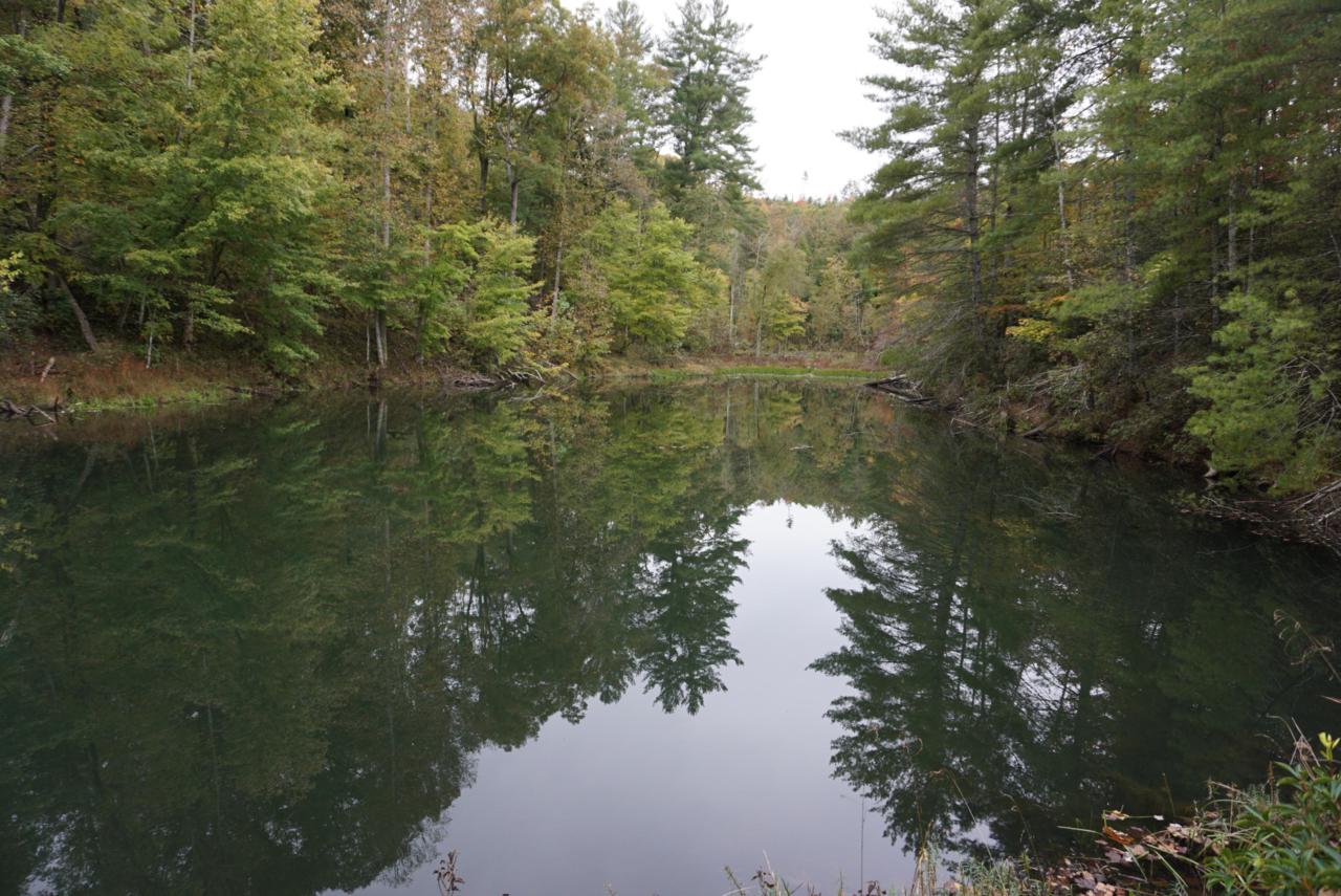 Ridge Rd - Photo 1
