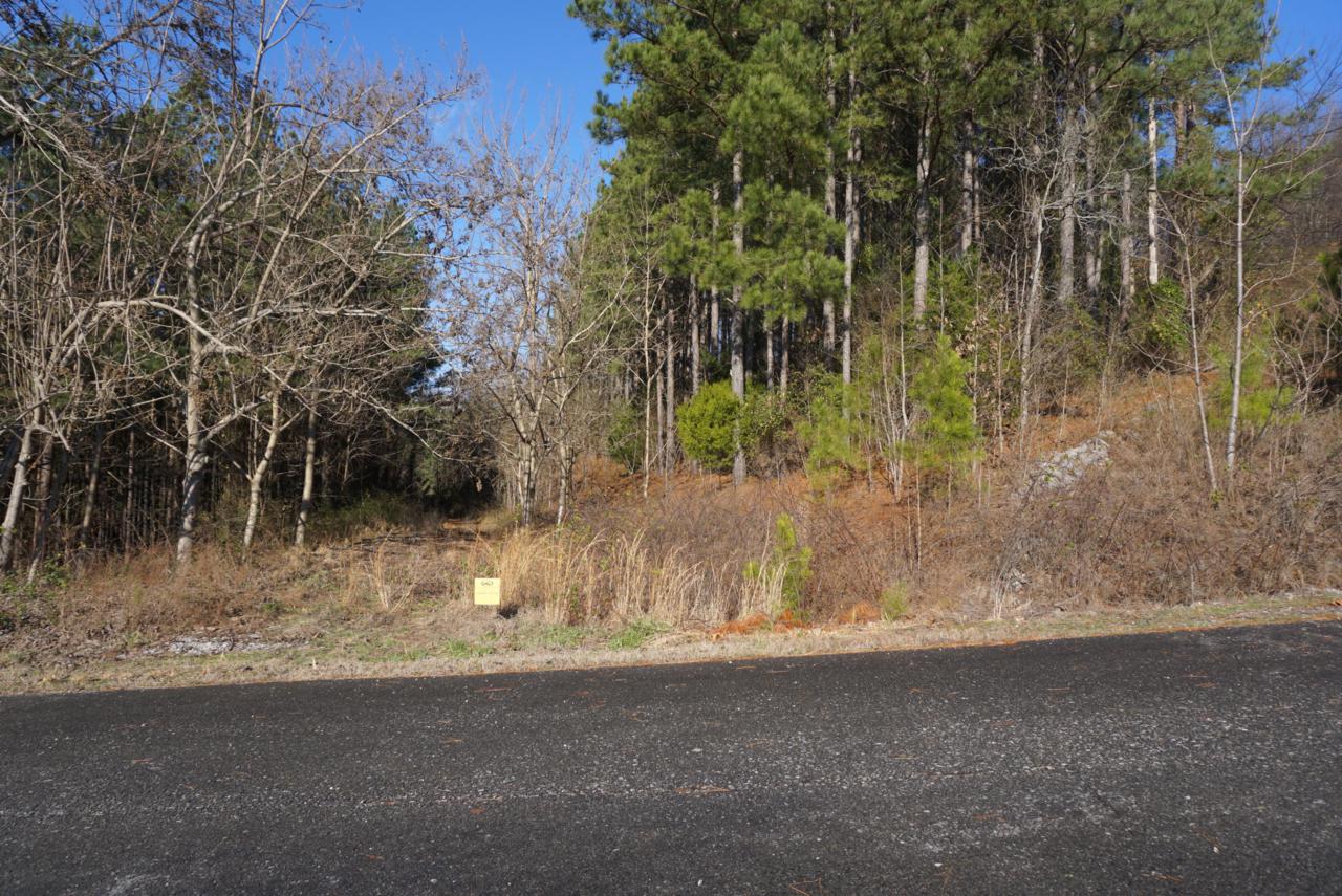 Overlook Way - Photo 1