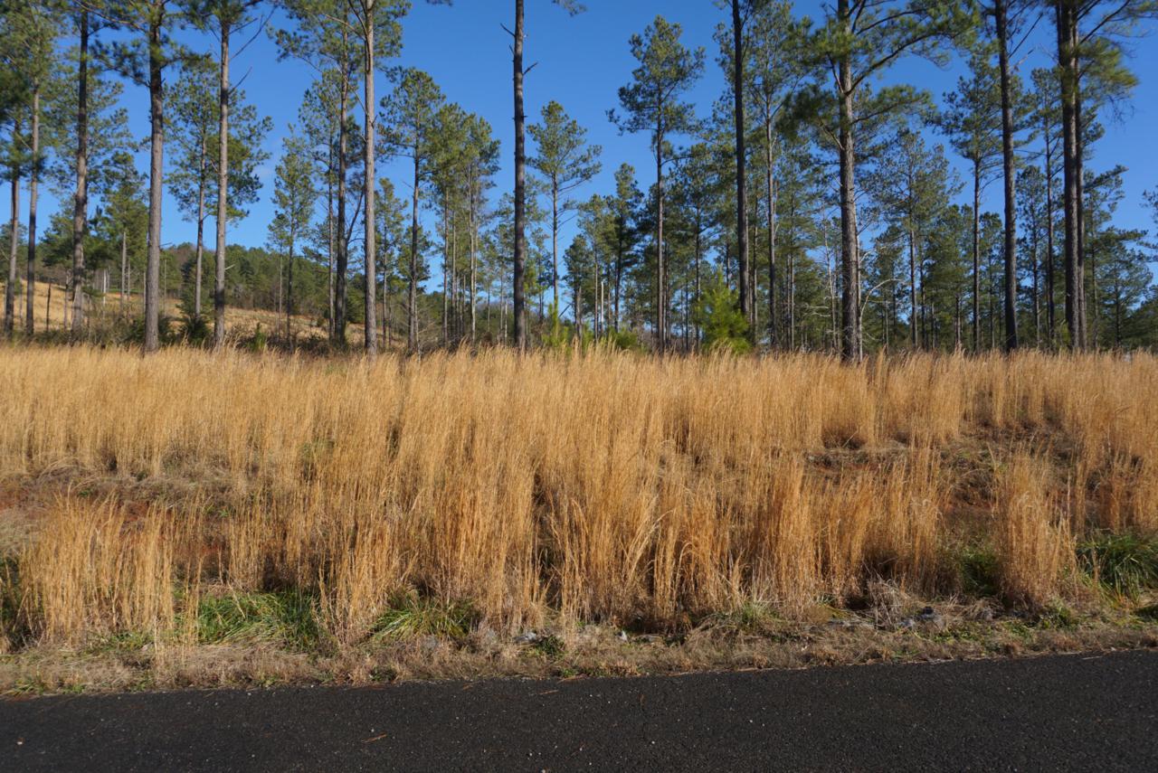 Quail Run Drive - Photo 1
