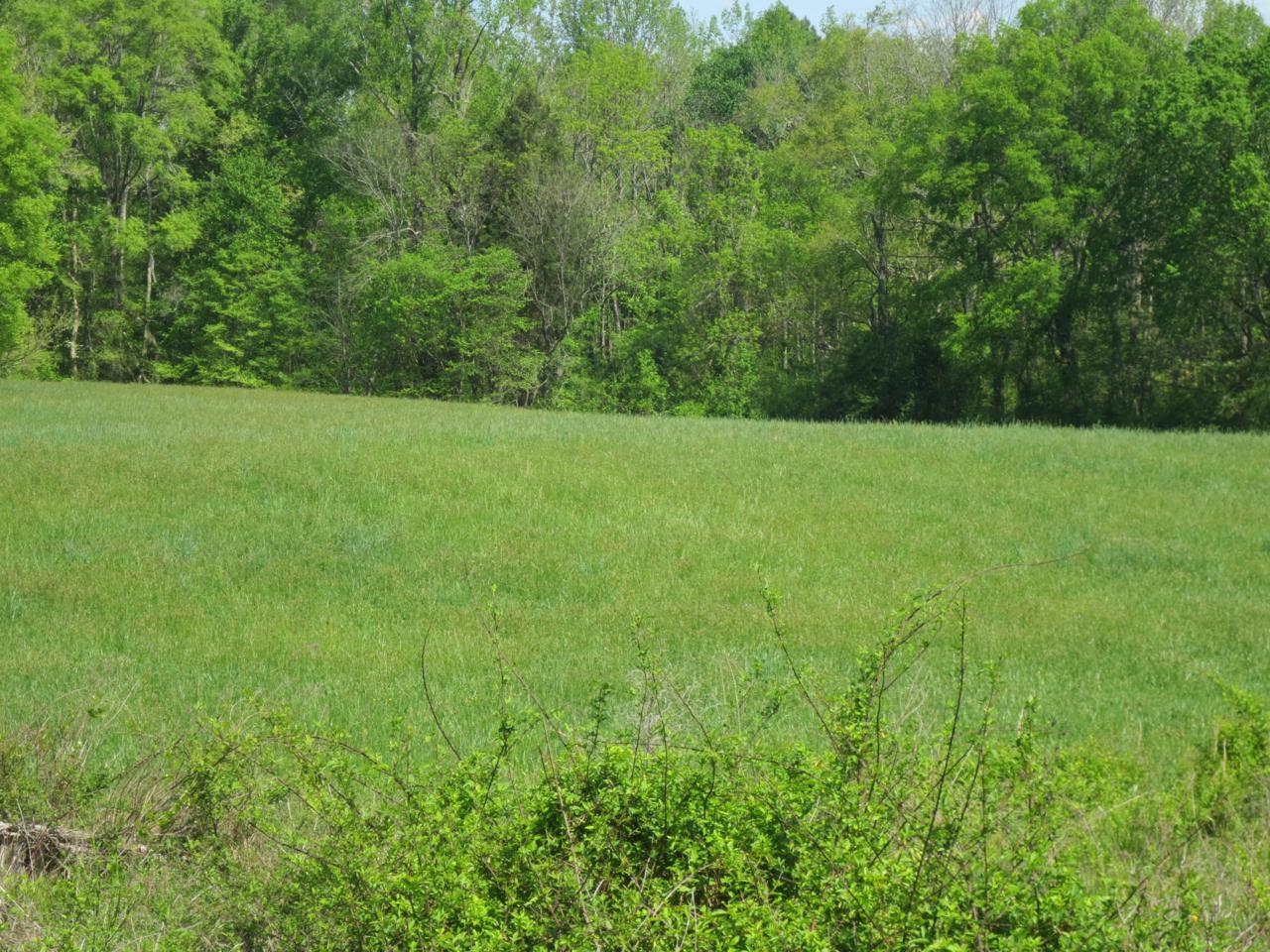 Lot 7 No Pone Valley Road - Photo 1