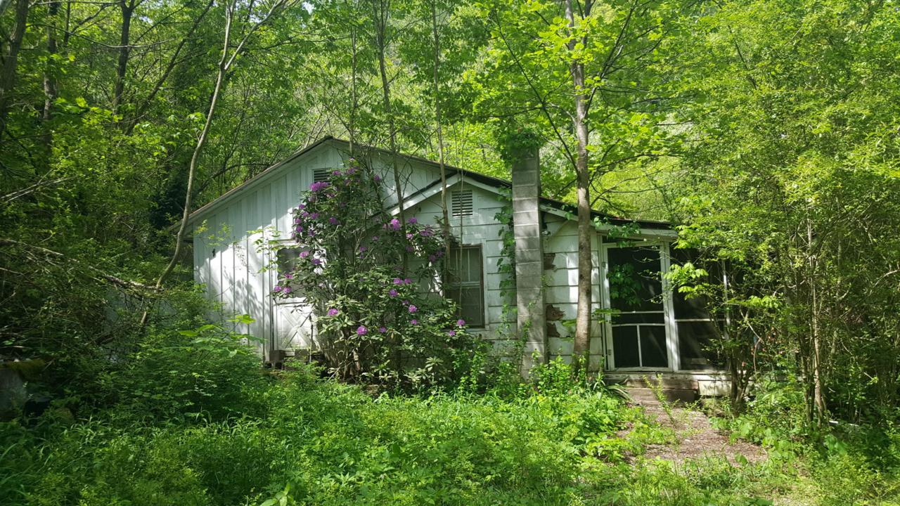 909 Wilson Station Rd - Photo 1