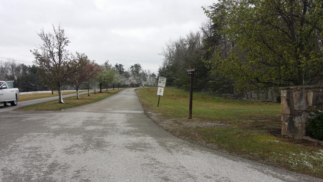 Lots 18-20 Laurel Loop - Photo 1