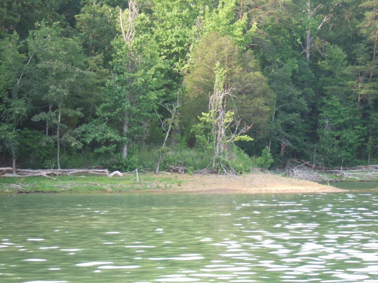 Lot 50 Mountain Shores Rd - Photo 1