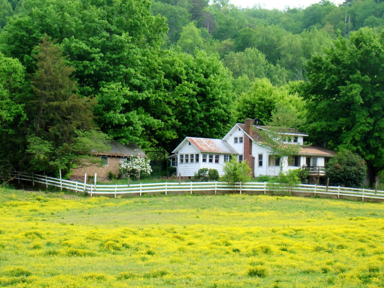 4201 Wears Valley Road - Photo 1