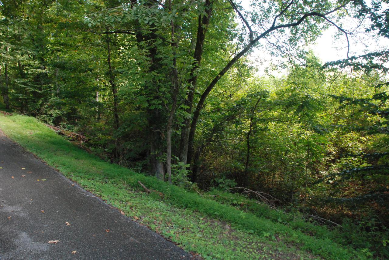 Vann Drive - Photo 1