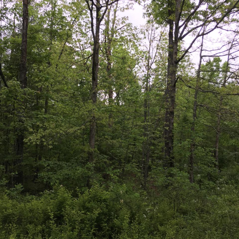 908 Paola Drive - Photo 1