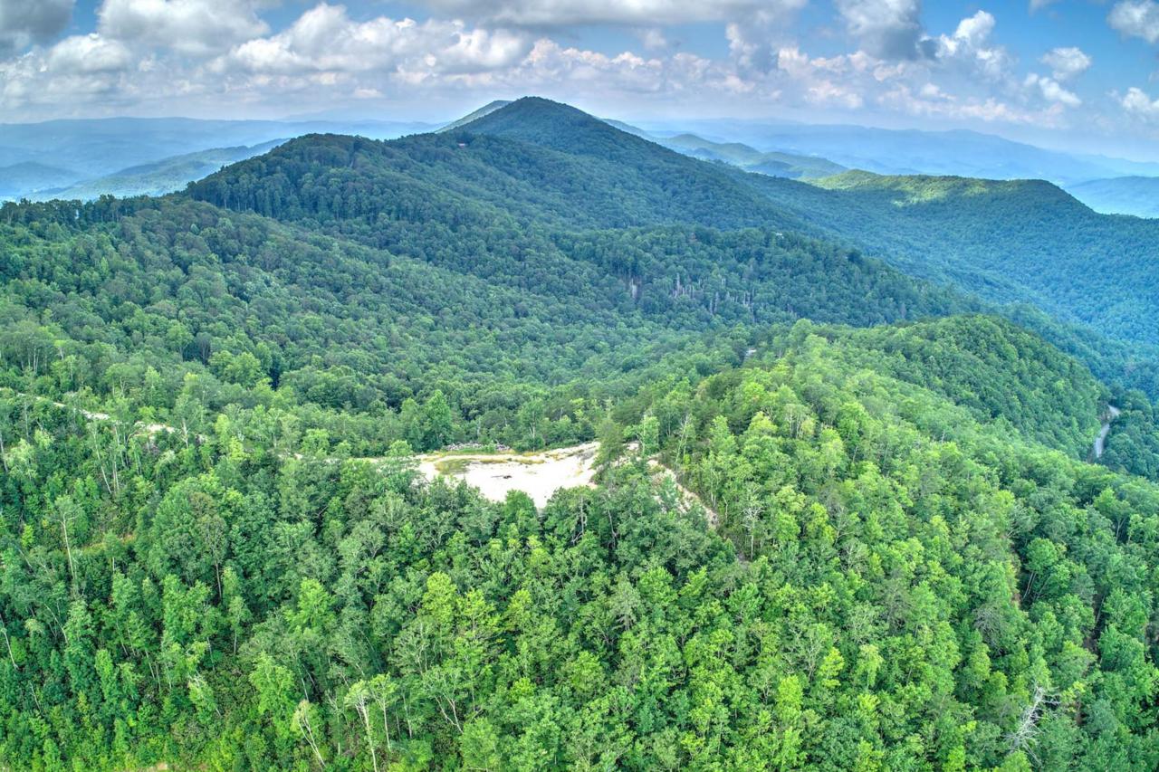 0 Locust Gap - Photo 1