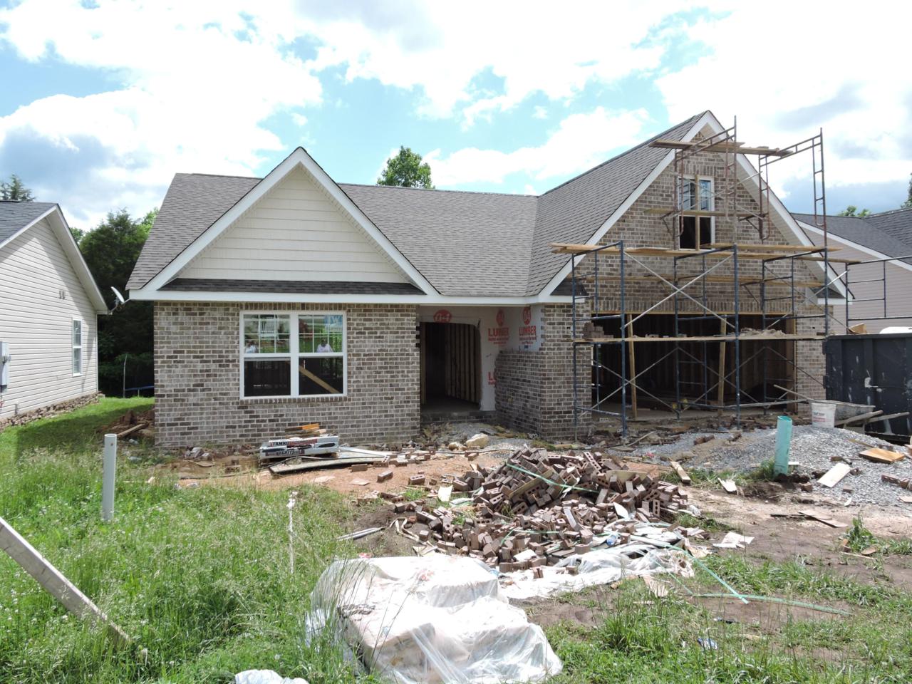 1828 River Poppy Drive - Photo 1