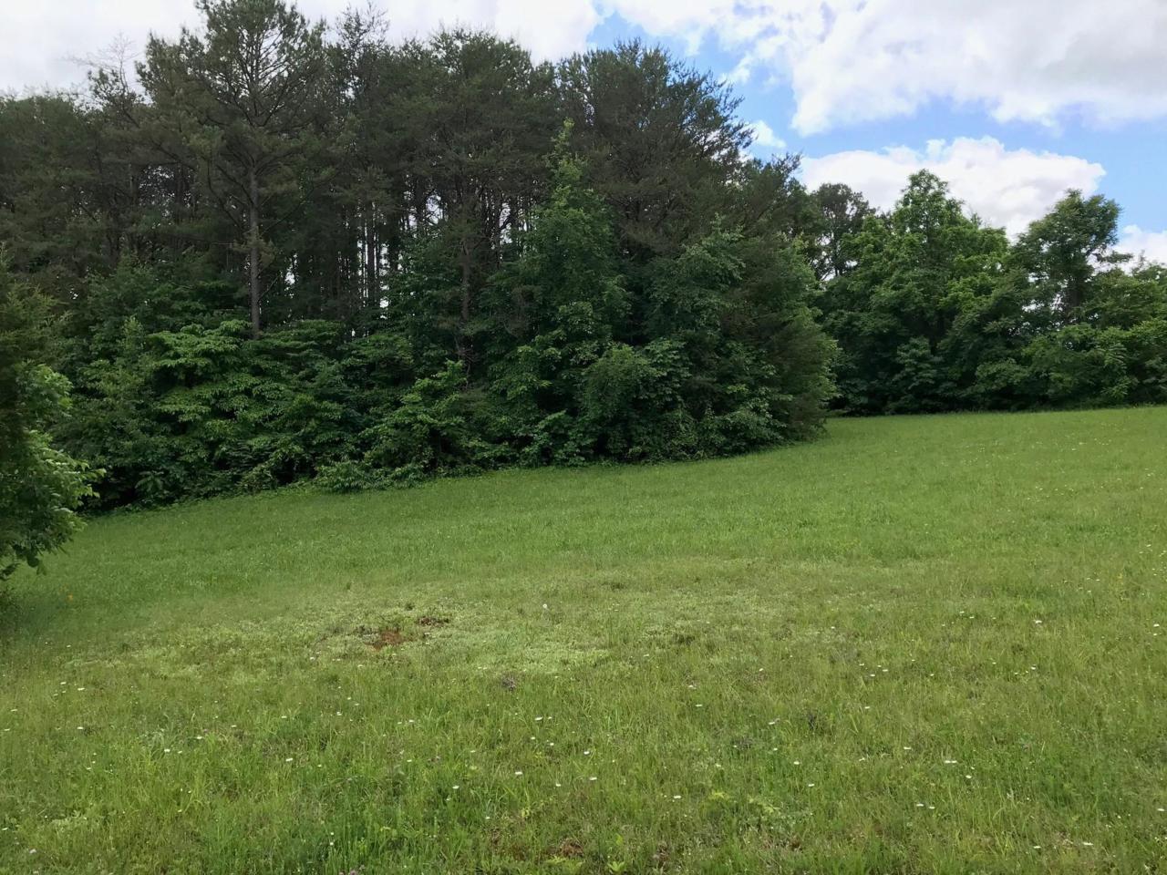 Battlefield Drive - Photo 1