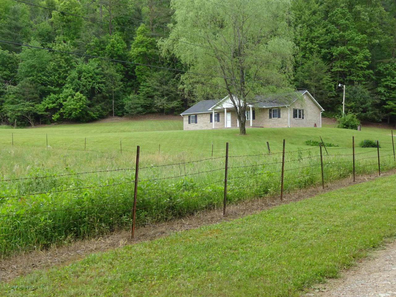 3928 Bearwallow Way - Photo 1