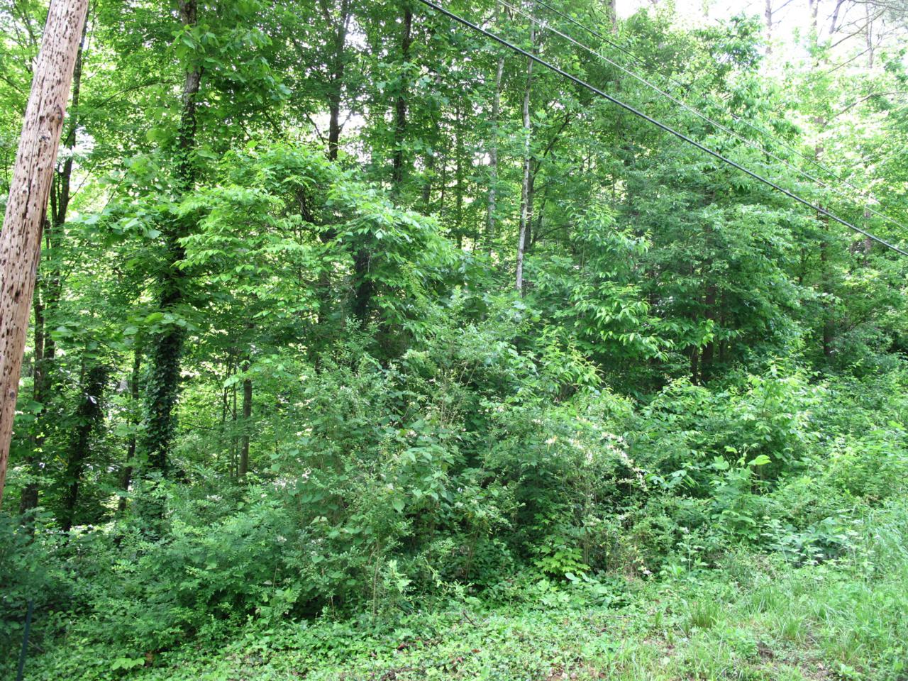 Reddege Rd - Photo 1