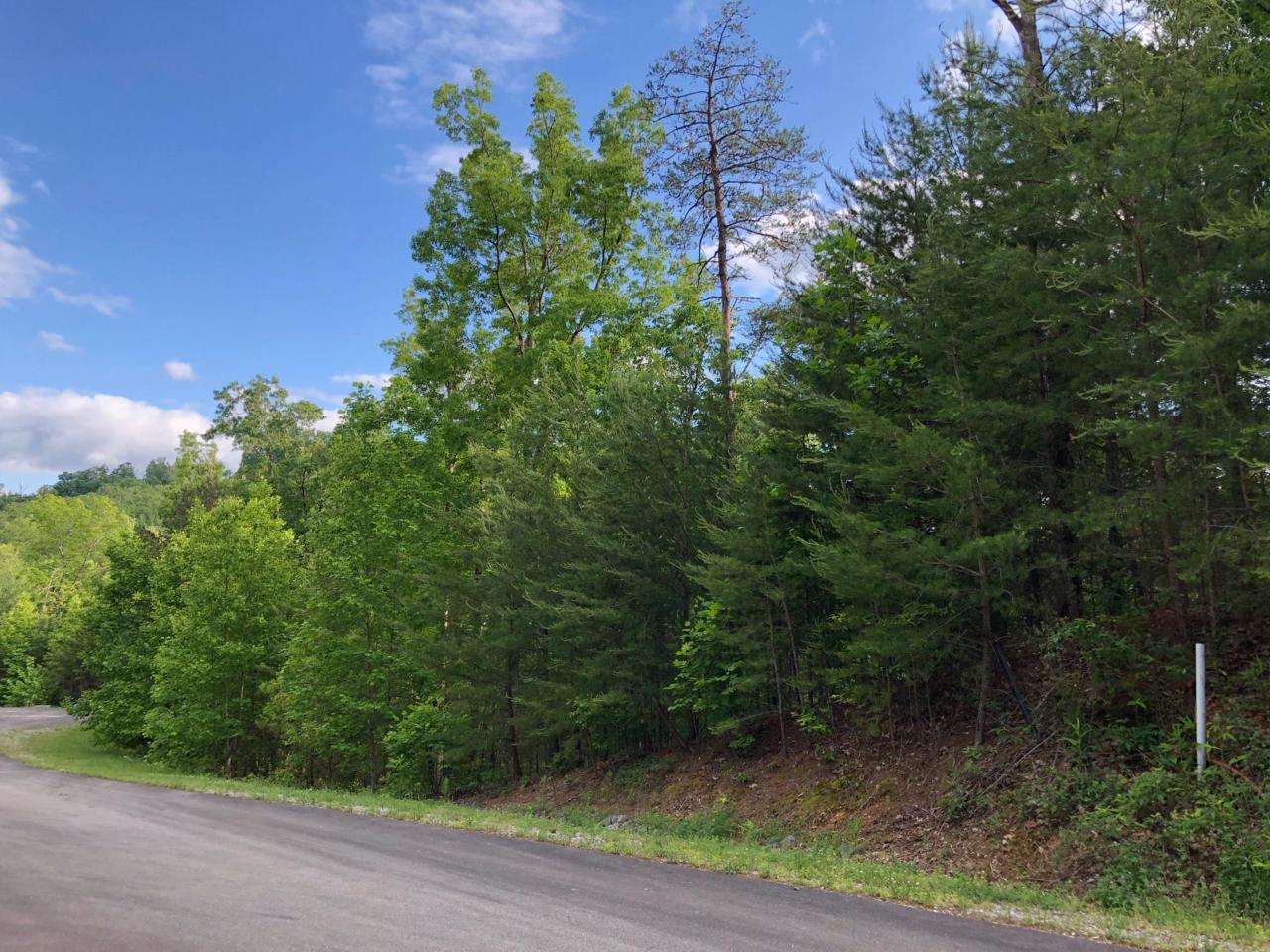 306 Hawken Drive - Photo 1