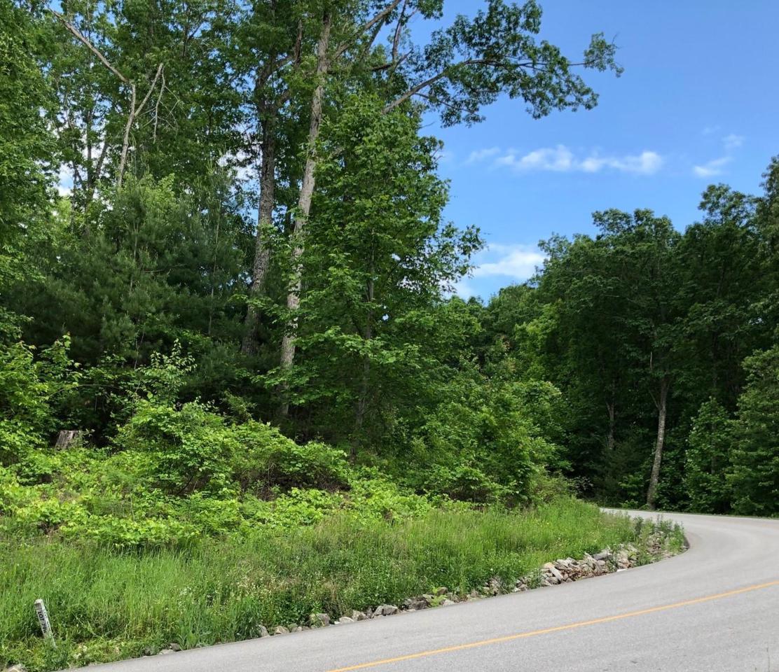 5068 Long Rifle Rd - Photo 1