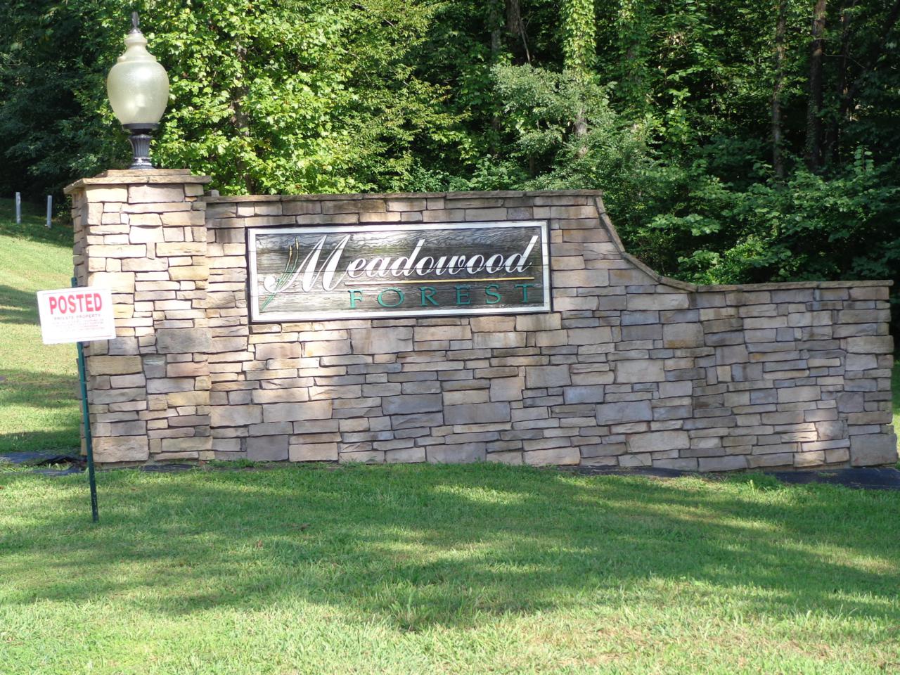 Lot 13 Meadowood Rd - Photo 1