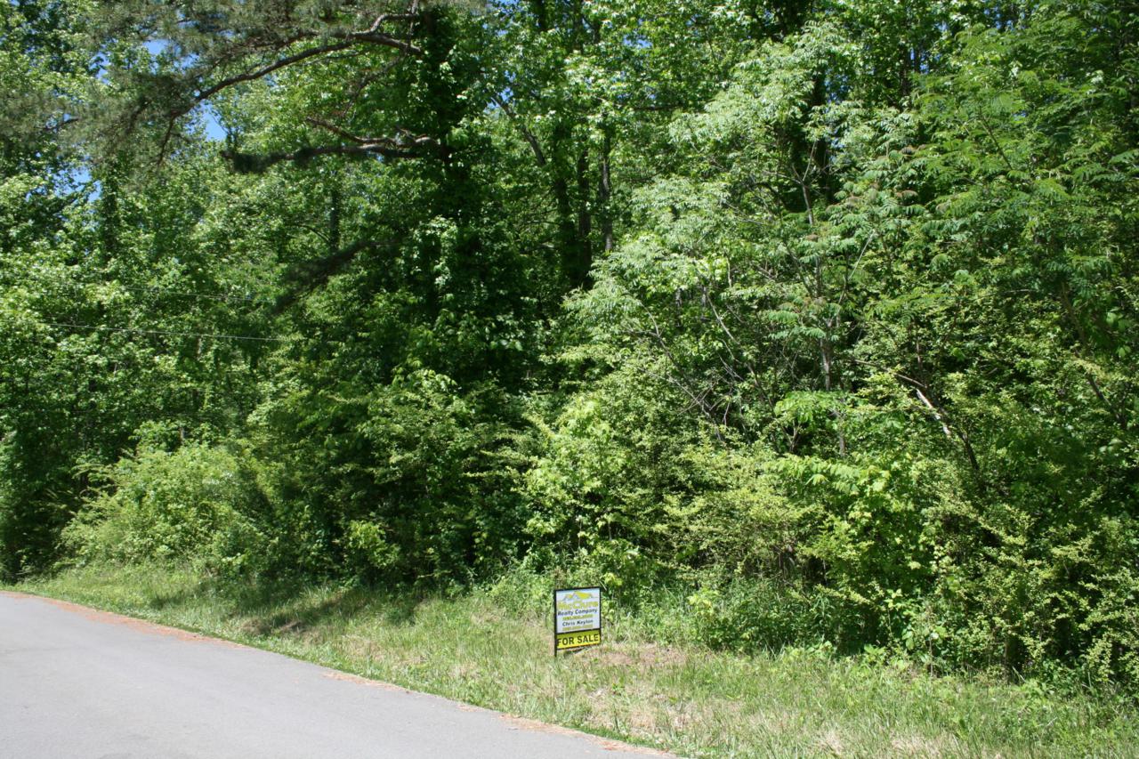 Bazel Rd Rd - Photo 1