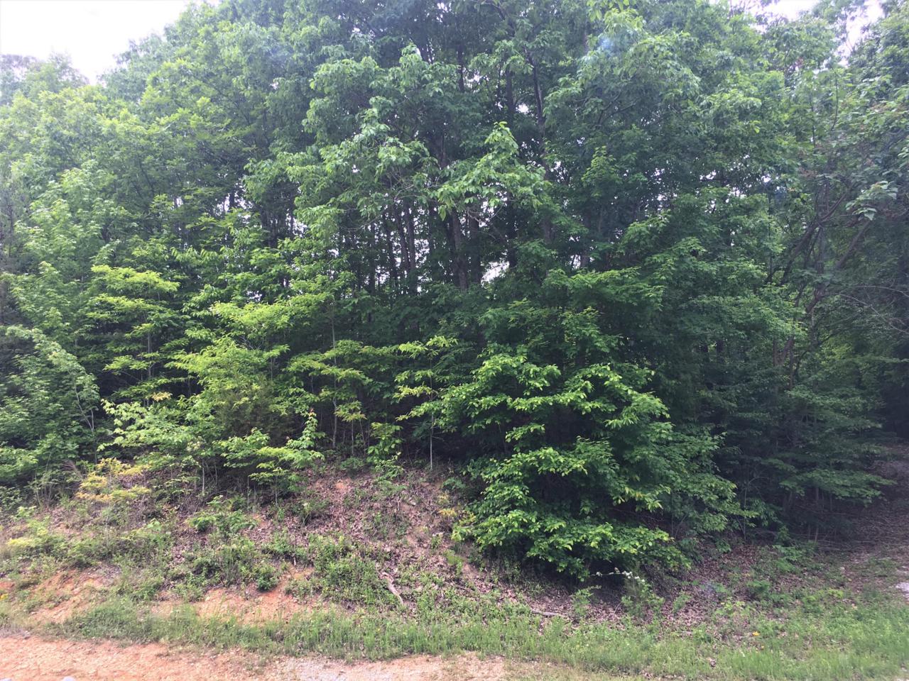 Lot 5 Emerald Pointe Circle - Photo 1
