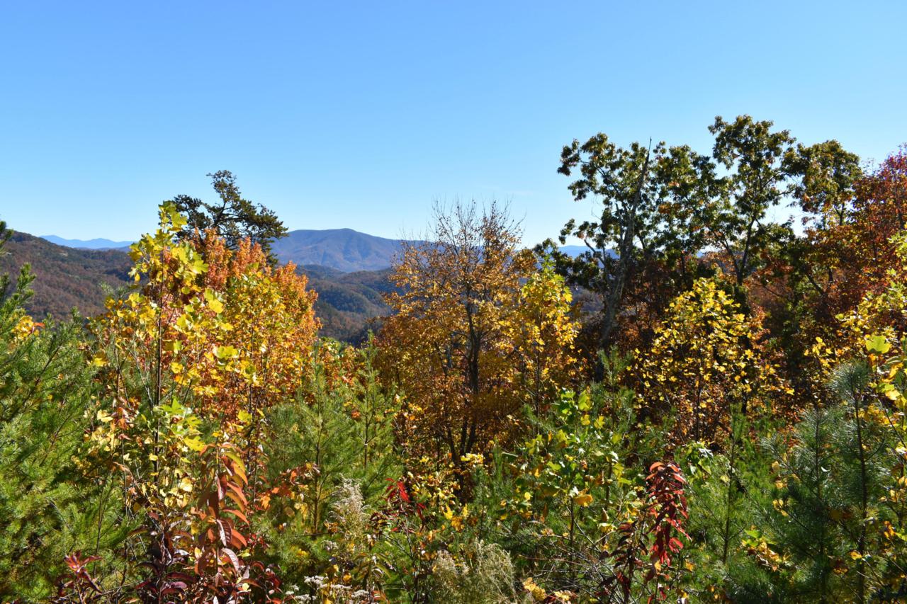 Lot 40w 4978 Long Rifle Rd - Photo 1