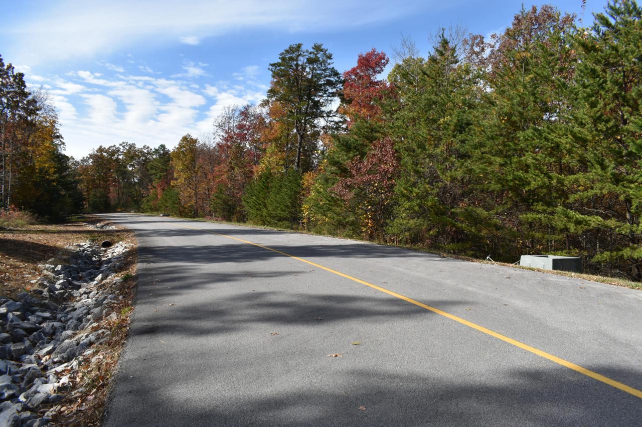Tract 2 Long Rifle Rd - Photo 1