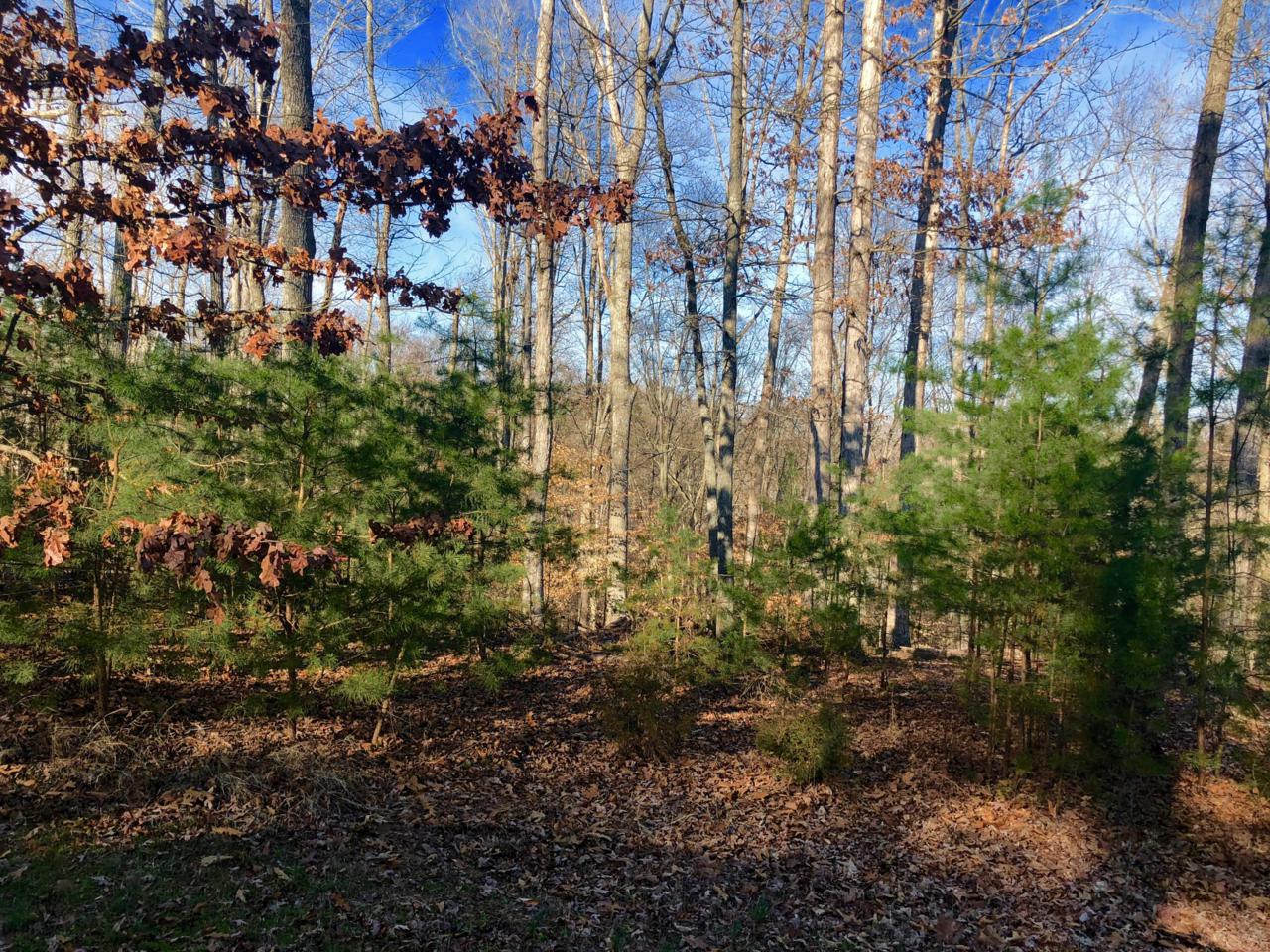 Lot 15 Waterstone Drive - Photo 1