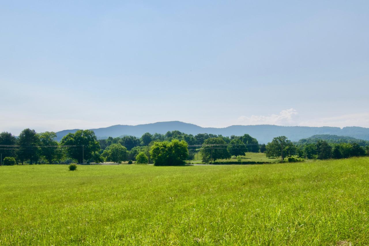 Lot 6 Chilhowee View Rd - Photo 1