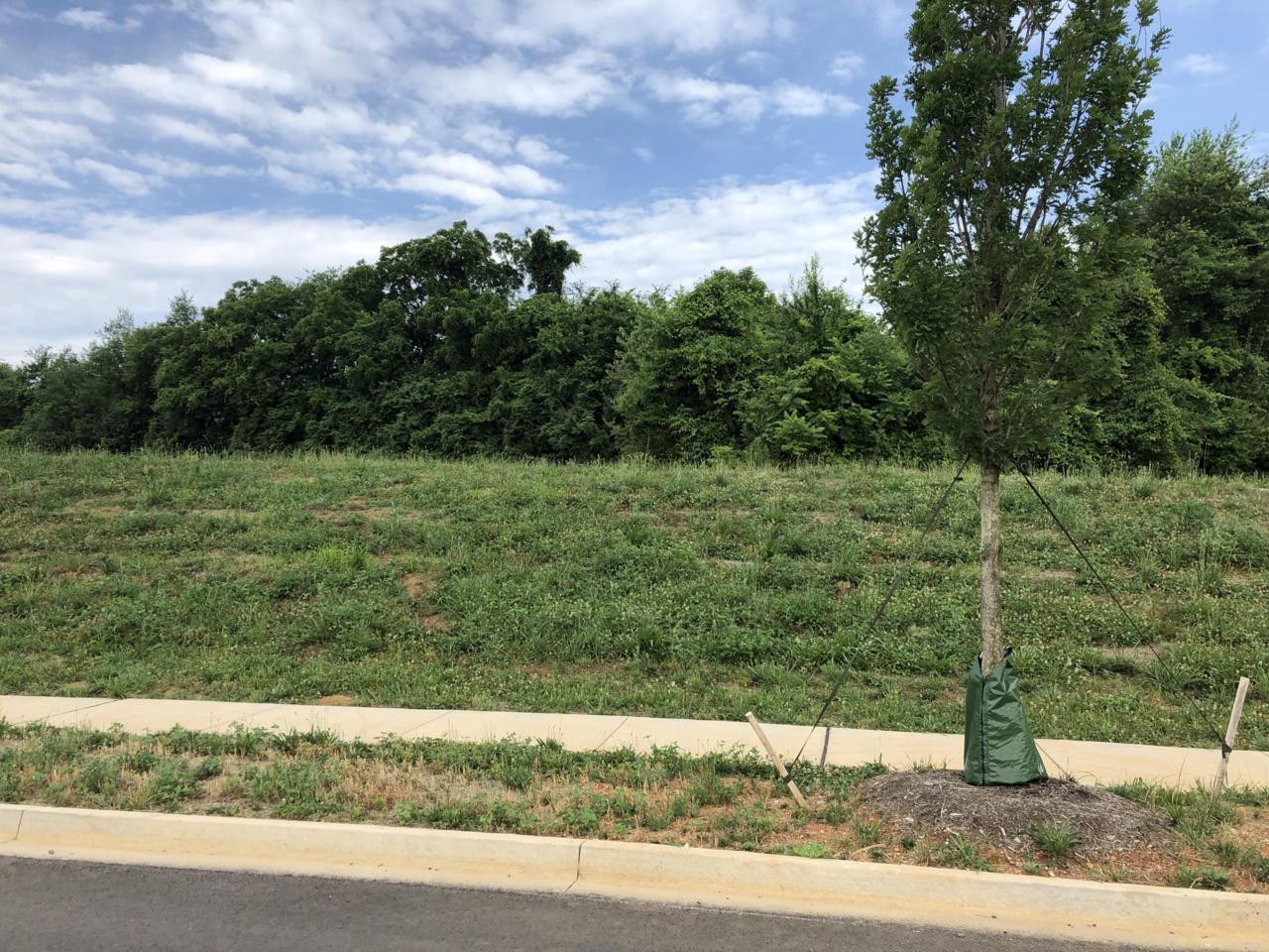 509 Barnsley Rd - Photo 1