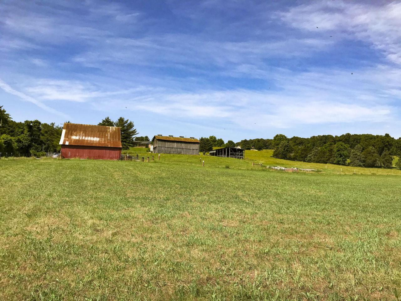 Lot 15, 16 Gentry Rd - Photo 1