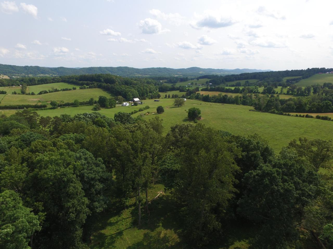 Oak Grove Lane - Photo 1