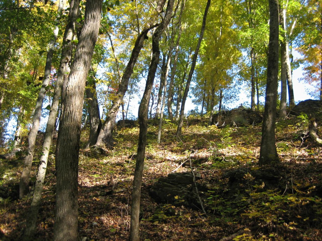 Mill Drive - Photo 1