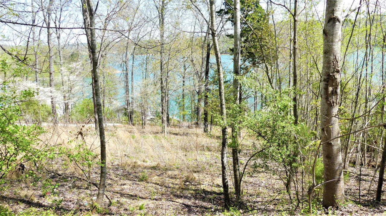 Deer Hill Lane - Photo 1
