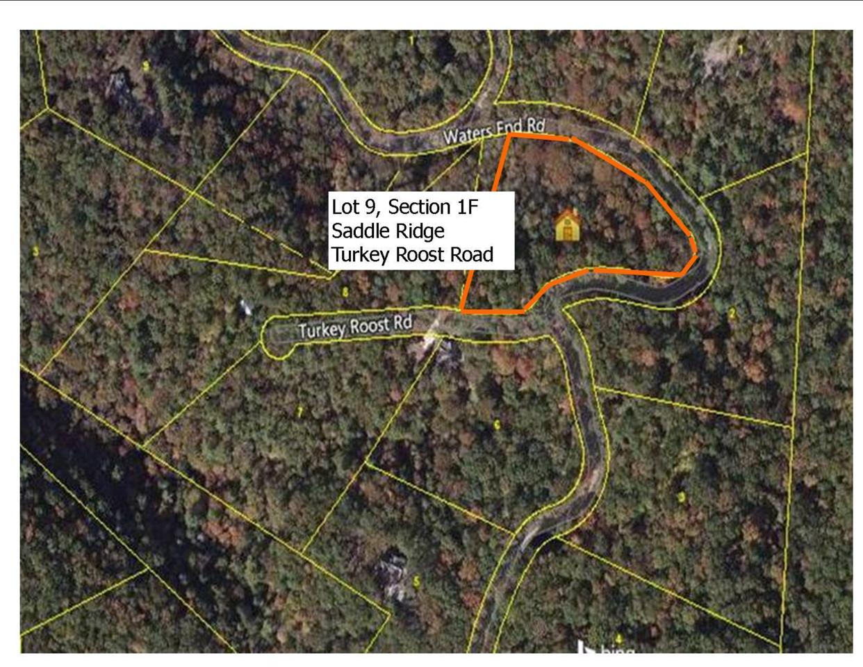 Lot 9 Turkey Roost Rd - Photo 1