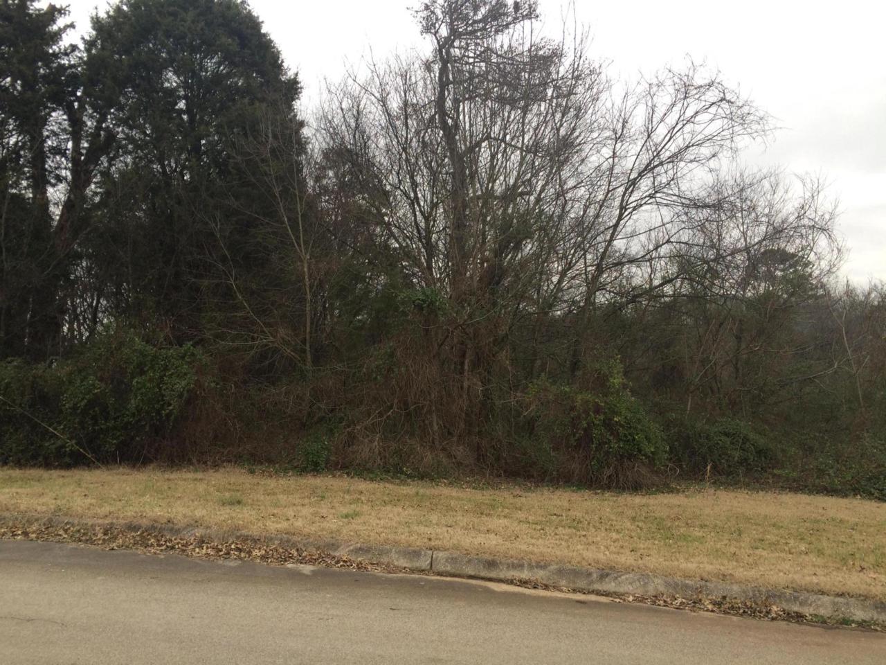 John Sparks Drive - Photo 1