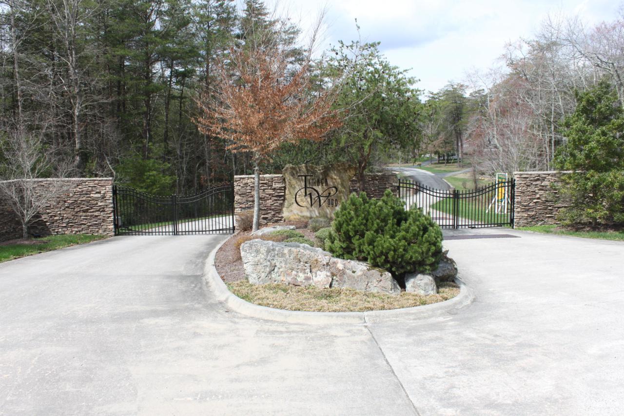 303 Timberwood Trace - Photo 1