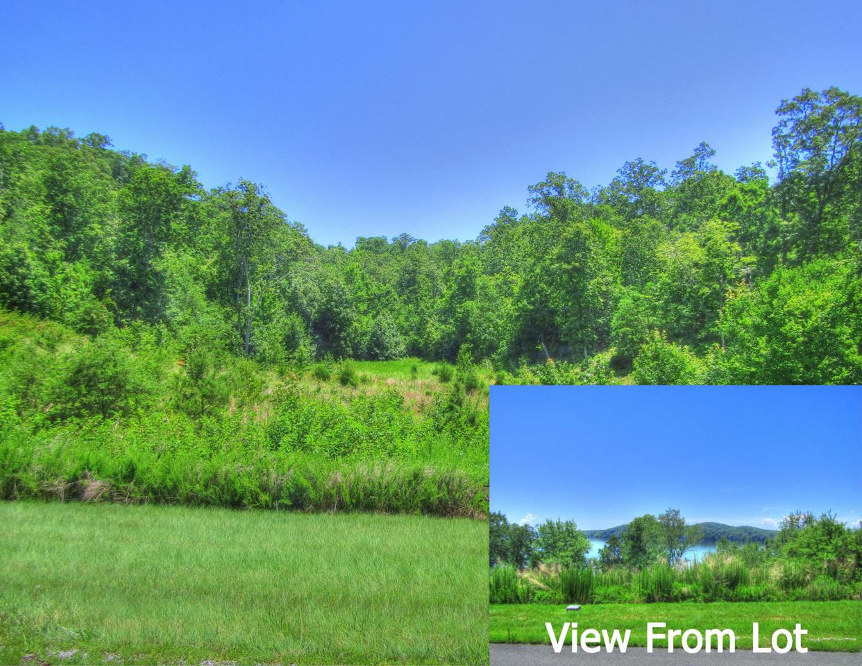 Lot 398 W Mountain Drive - Photo 1