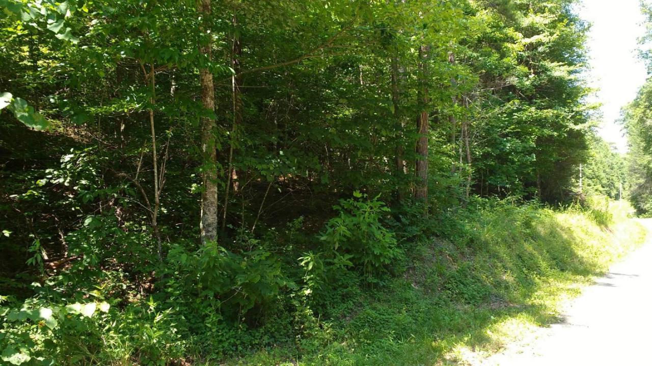 6.2 Ac Harris Branch Road - Photo 1