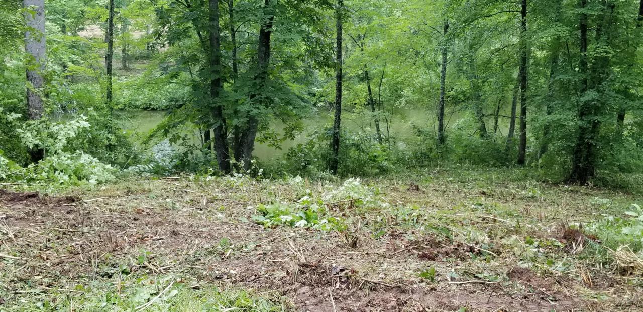 Lot 13 Blue Heron Drive - Photo 1
