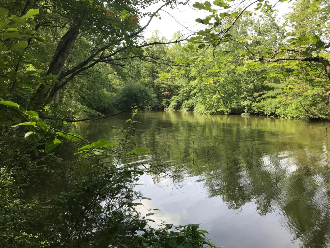Lot 33 Emory Cove Drive - Photo 1